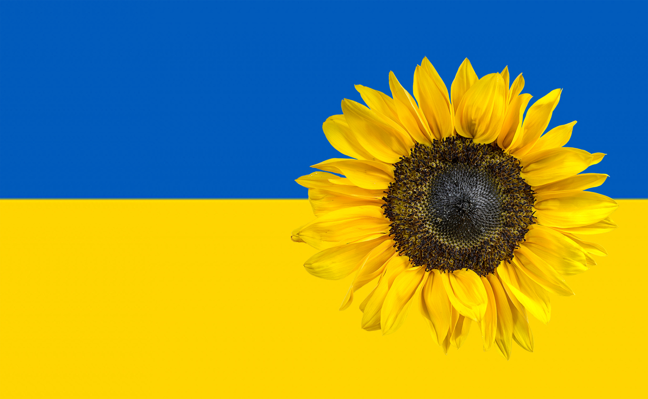 Wise Giving Wednesday: From Books to Borscht, Retail Sales Helping Ukraine