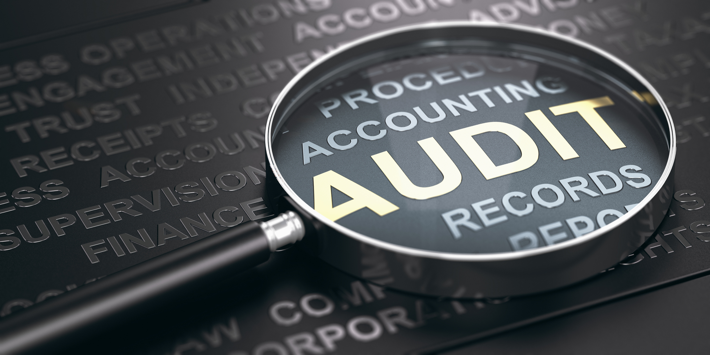 Wise Giving Wednesday: The Importance of Audited Financial Statements