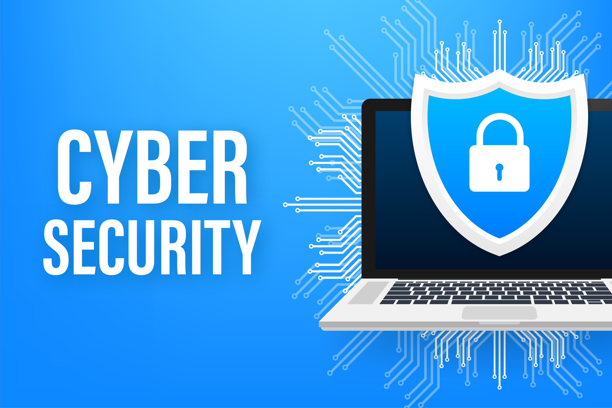 Wise Giving Wednesday: Sensible Cybersecurity