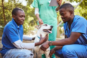 Animal-Related Charities